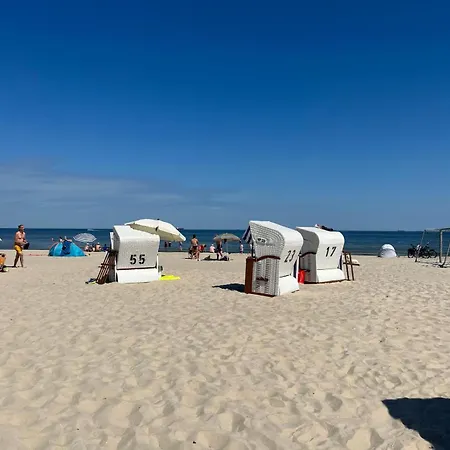 Kleine Birke * Zirchow