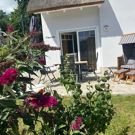 Kleine Birke * Zirchow