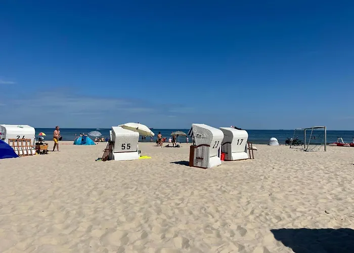 Kleine Birke * Zirchow