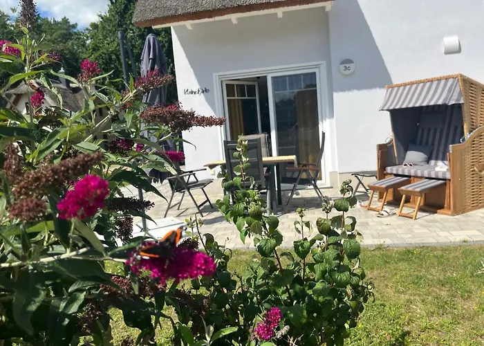 Kleine Birke * Zirchow